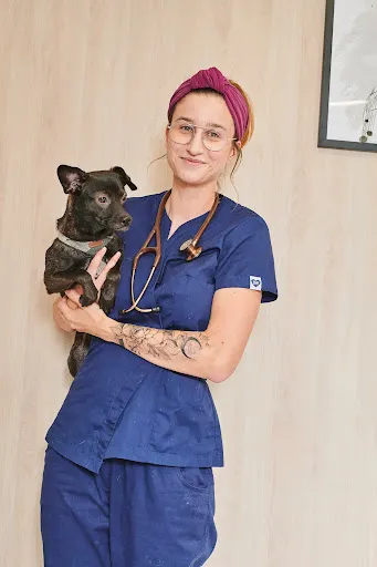 Usługi weterynaryjne s.c. Zyzman K.J.